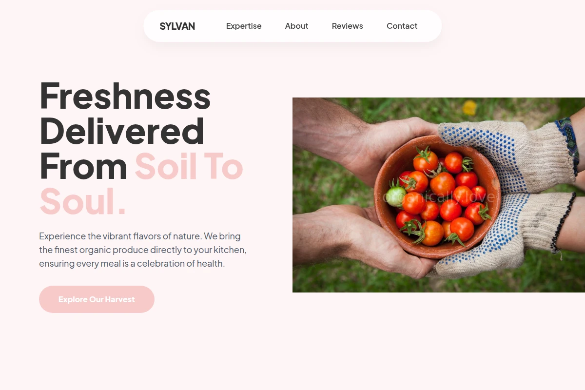 Sprout Organic Food