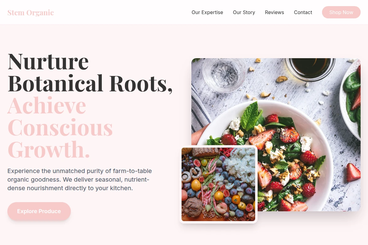 Stem Organic Food