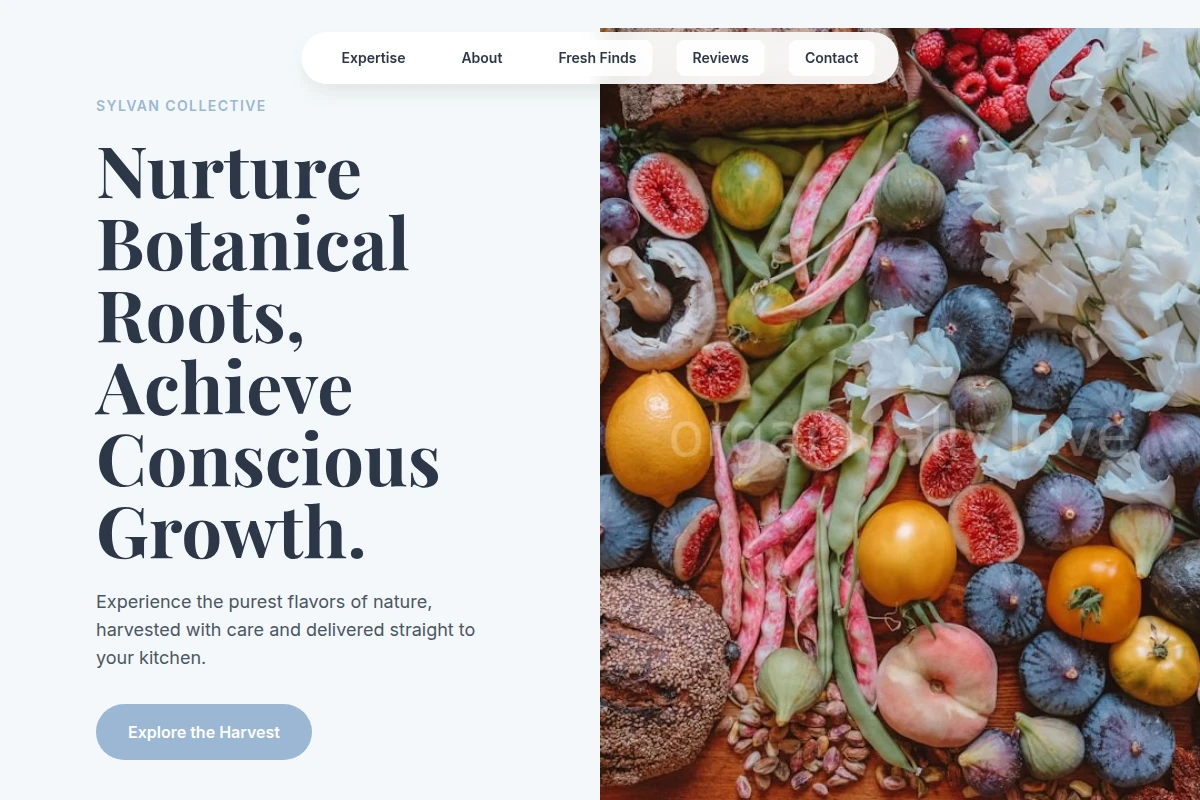 Root Organic Food