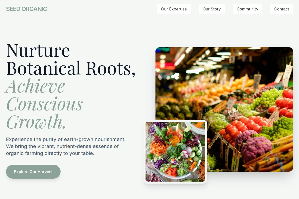 Seed Organic Food